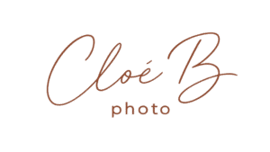 Logo marron V2